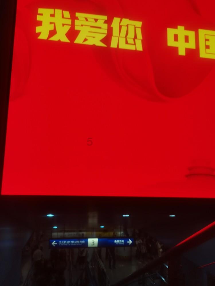 野外生存游戏